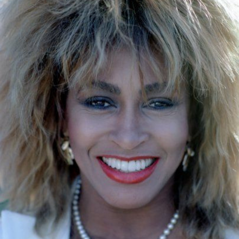Celebrate Tina Turner's Anniversary With The Turner Family Around! (2)
