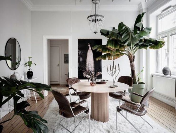 How To Create A Biophilic Design That Works For Your Dining Room